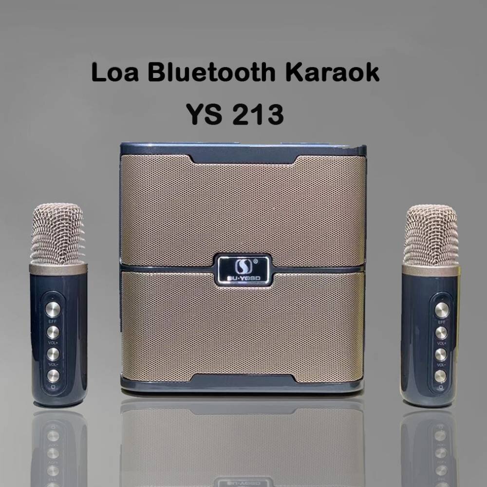 Loa Wireless Karaoke YS 213