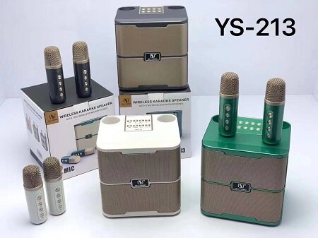 Loa Wireless Karaoke YS 213