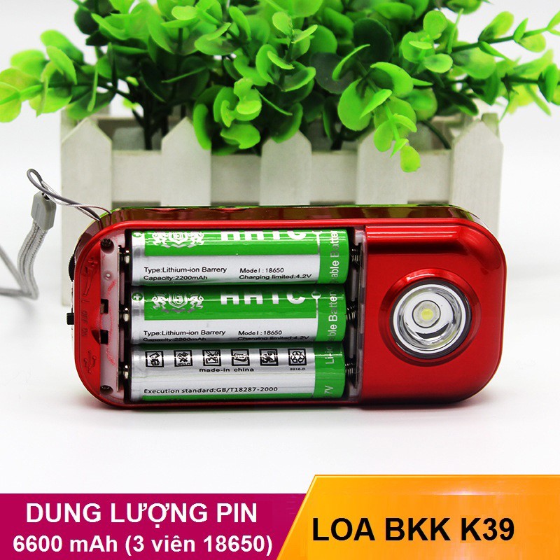 Loa BKK K39