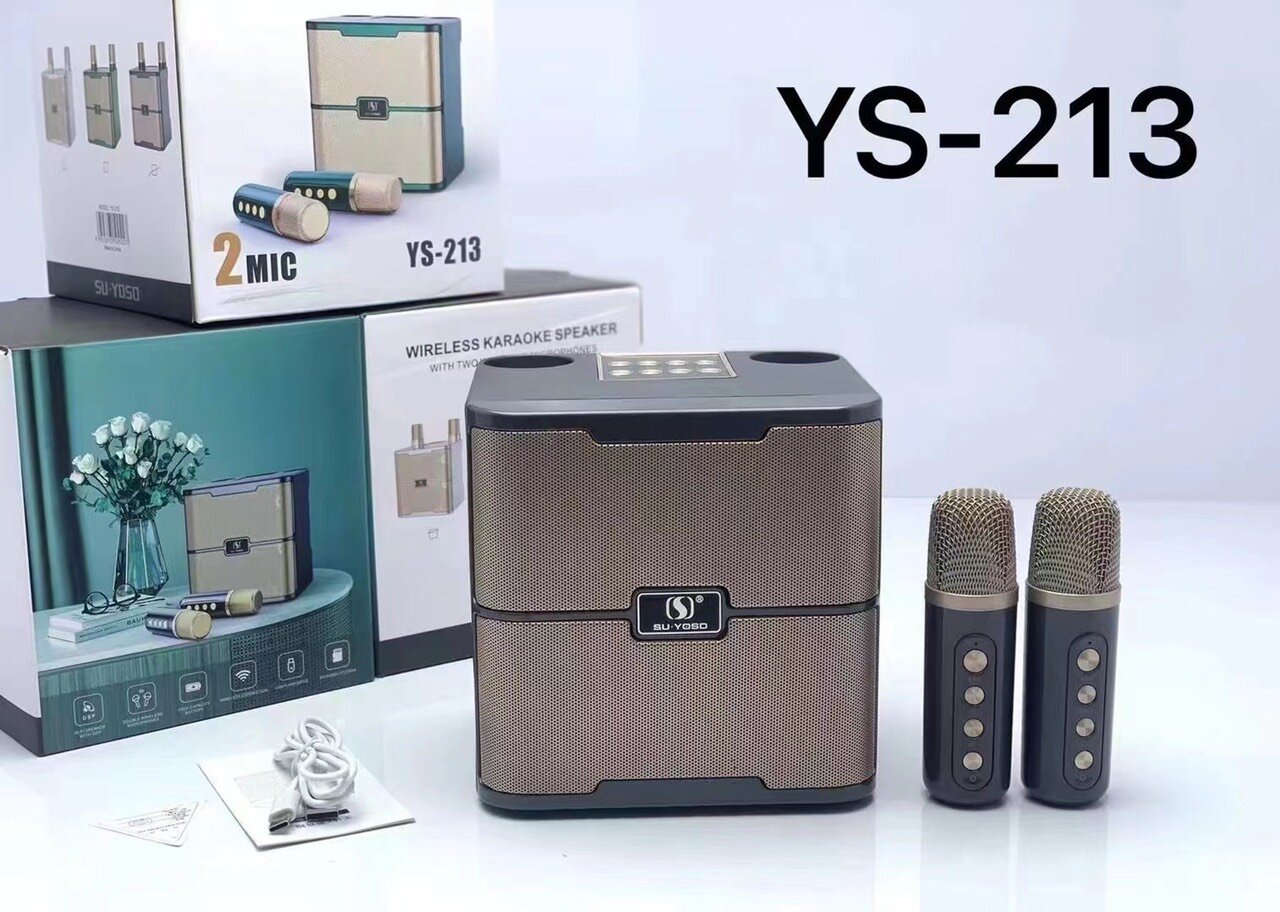 Loa Wireless Karaoke YS 213