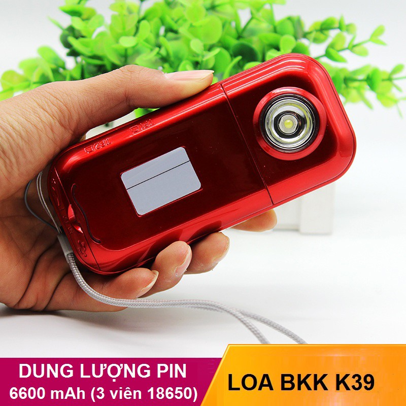 Loa BKK K39