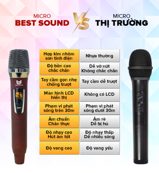 Bộ Micro Best Sound V-W301