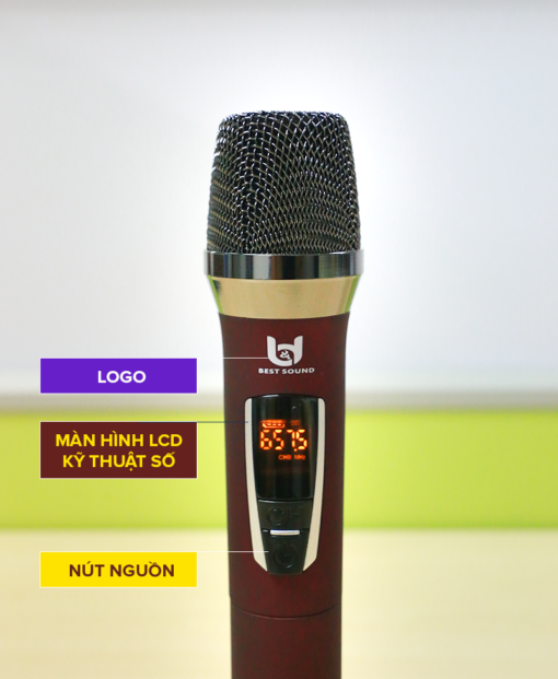 Bộ Micro Best Sound V-W301