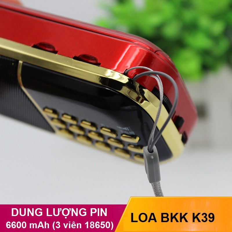 Loa BKK K39